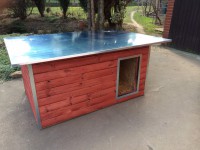 /album/fotogalerie/psi-bouda-rozarka-mahagon-jpg1/