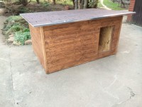 /album/fotogalerie/psi-bouda-sindel-orech-jpg/