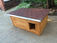 /album/fotogalerie/psi-bouda-casper-mini-orech-jpg/