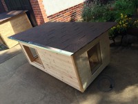 /album/fotogalerie/psi-bouda-casper-okno-2-jpg/