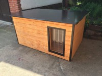 /album/fotogalerie/psi-bouda-lindap-jpg1/