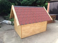 /album/fotogalerie/psi-bouda-bertik-zadu-jpg/