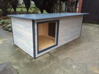 /album/fotogalerie/psi-bouda-larry-jpg/