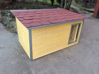 /album/fotogalerie/psi-bouda-medium-rocky-cedr-jpg/