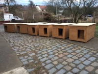 /album/fotogalerie/img-8802-jpg-jpg/