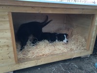 /album/fotogalerie/a20150218-104132399-ios-jpg/